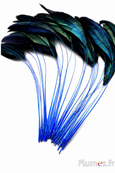 Coquetips - 12-17 cm - blu-nero